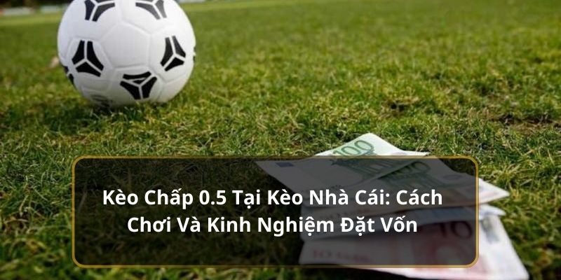 Kèo Chấp 0.5 Tại Kèo Nhà Cái: Cách Chơi Và Kinh Nghiệm Đặt Vốn